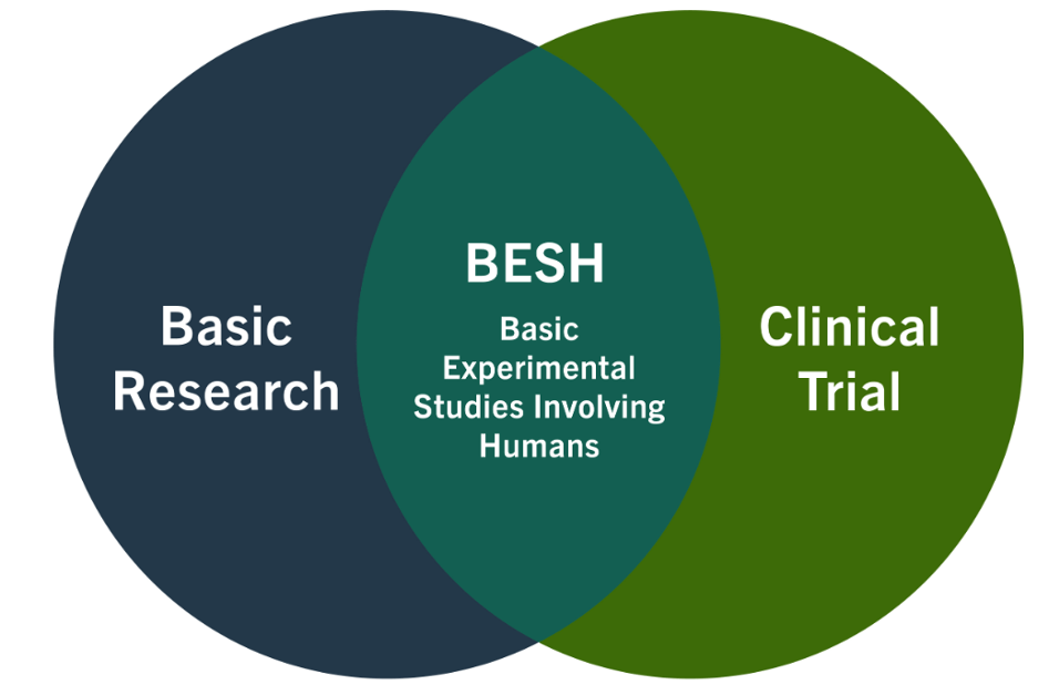 Basic experimental studies involving humans (BESH)