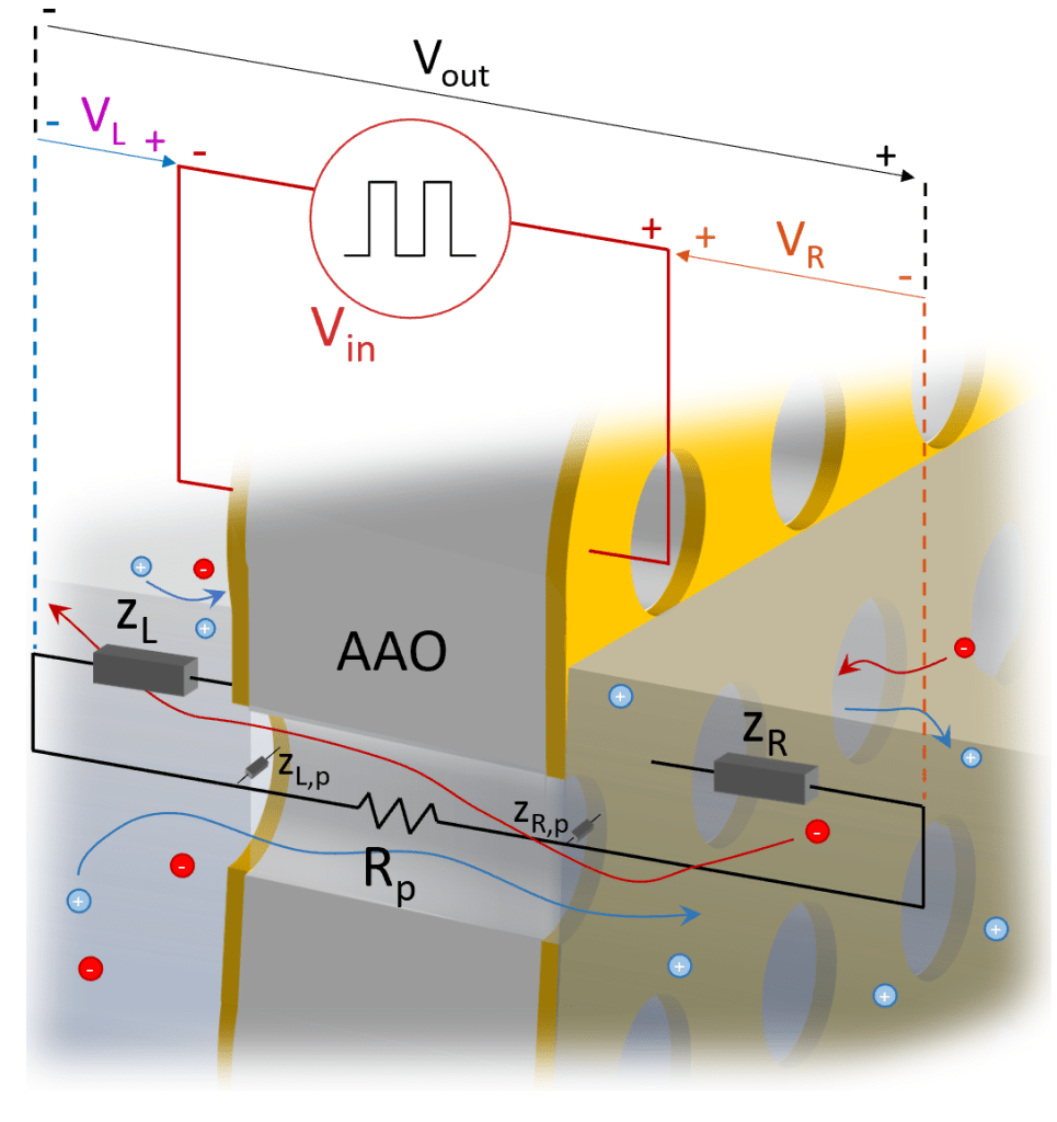 Research group co-led by UC Irvine develops first-of-its-kind ion pump